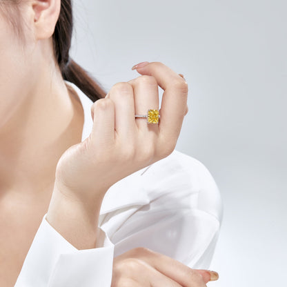 [ECHO ]4.0 Carat Luxurious Engagement Ring