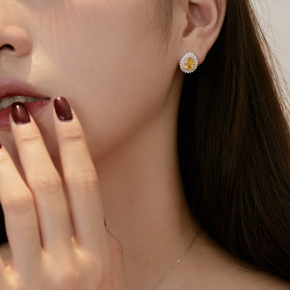 [ECHO ]Delicate Gorgeous Pear Cut Daily Earrings