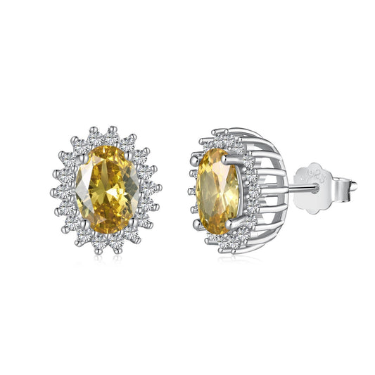 [ECHO ]Delicate Radiant Oval Cut Daily Earrings