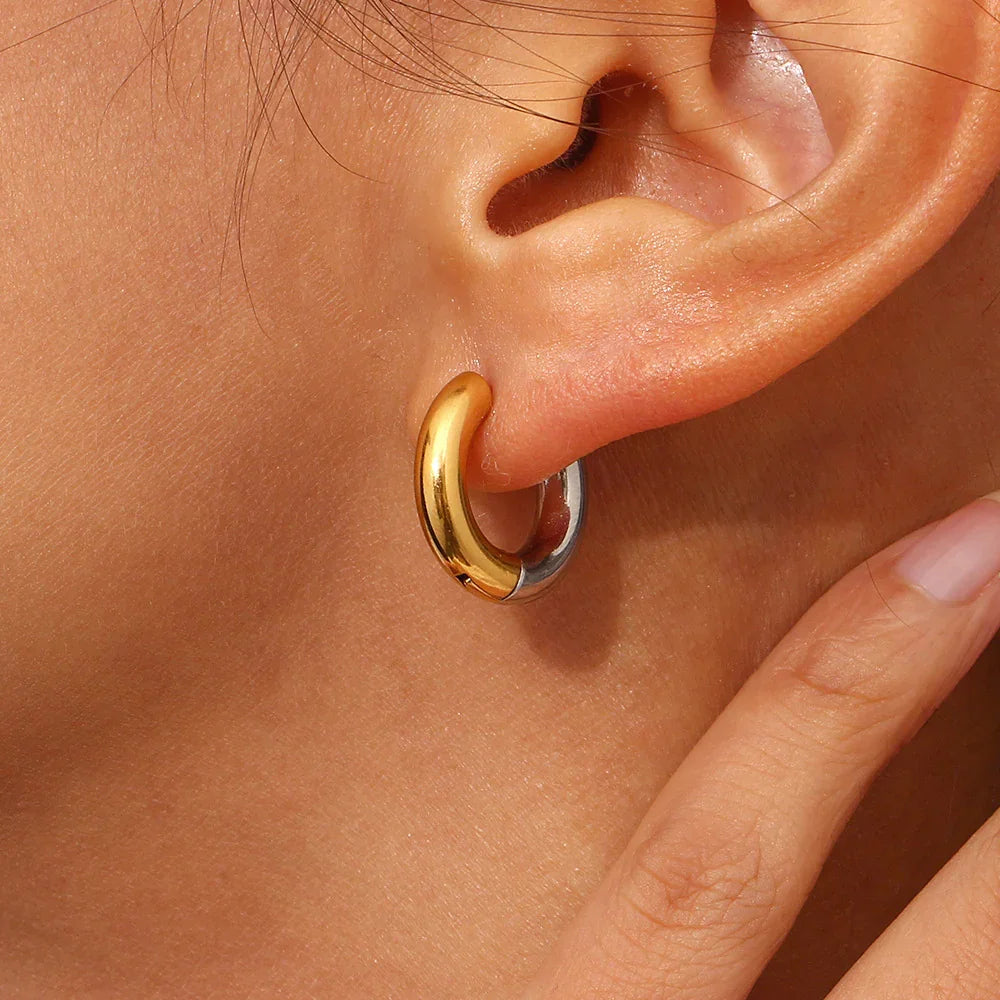 [Echo Fine]Ingrid Two Tone Hoop Earring