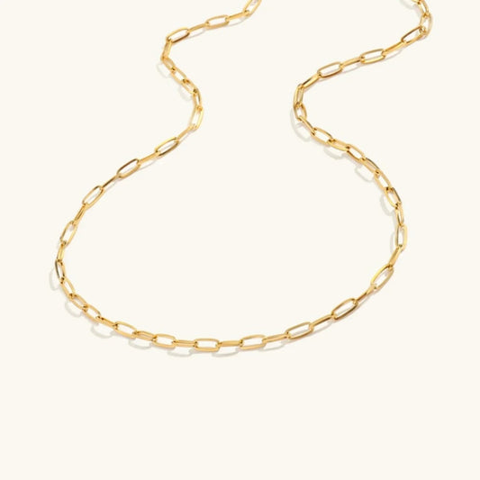 [Echo Fine]Amber Gold Chain Necklace