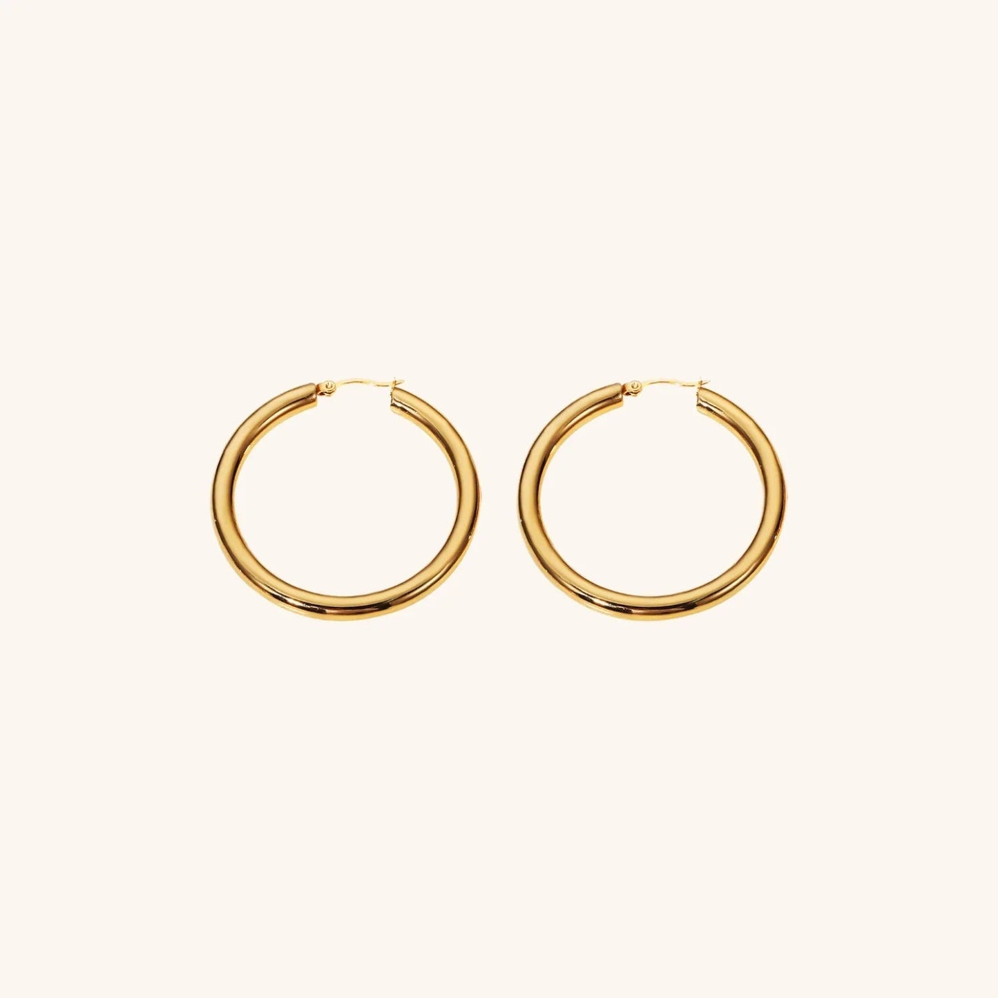 [Echo Fine]Wide Hoop Earrings