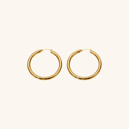 [Echo Fine]Wide Hoop Earrings