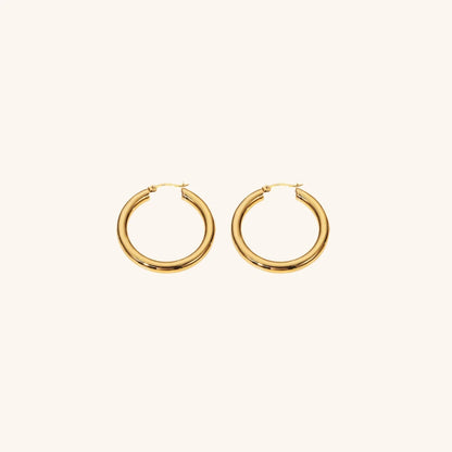 [Echo Fine]Wide Hoop Earrings