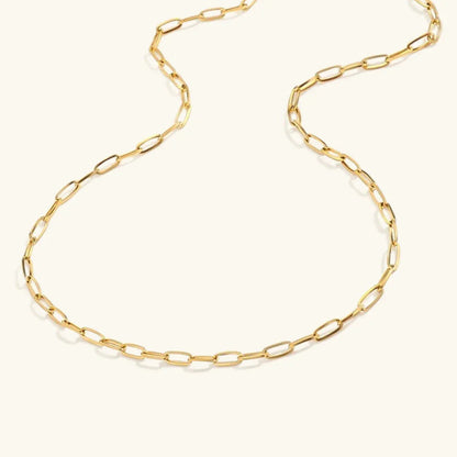 [Echo Fine]Nadia Paperclip Chain Necklace