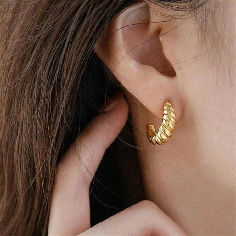 [Echo Fine]Croissant Arc Earrings