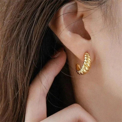 [Echo Fine]Croissant Arc Earrings