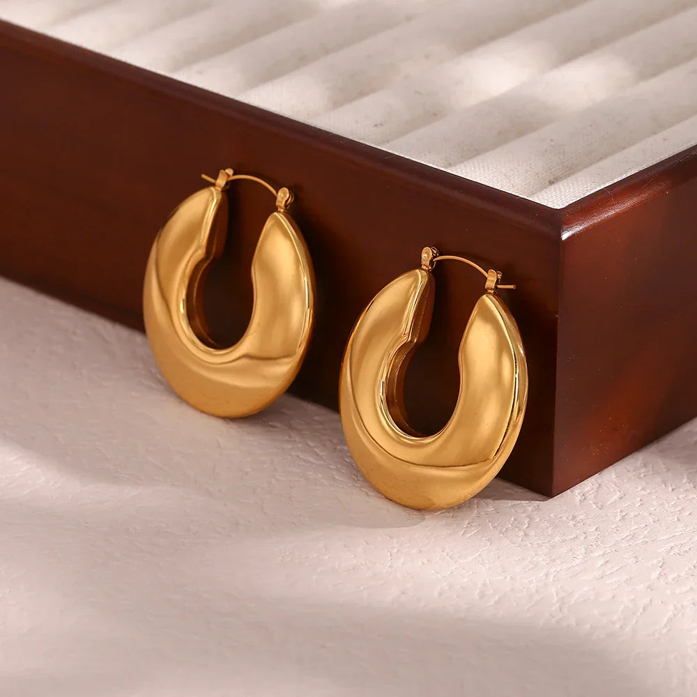 [Echo Fine]Kayleigh Chunky Hoop Earrings