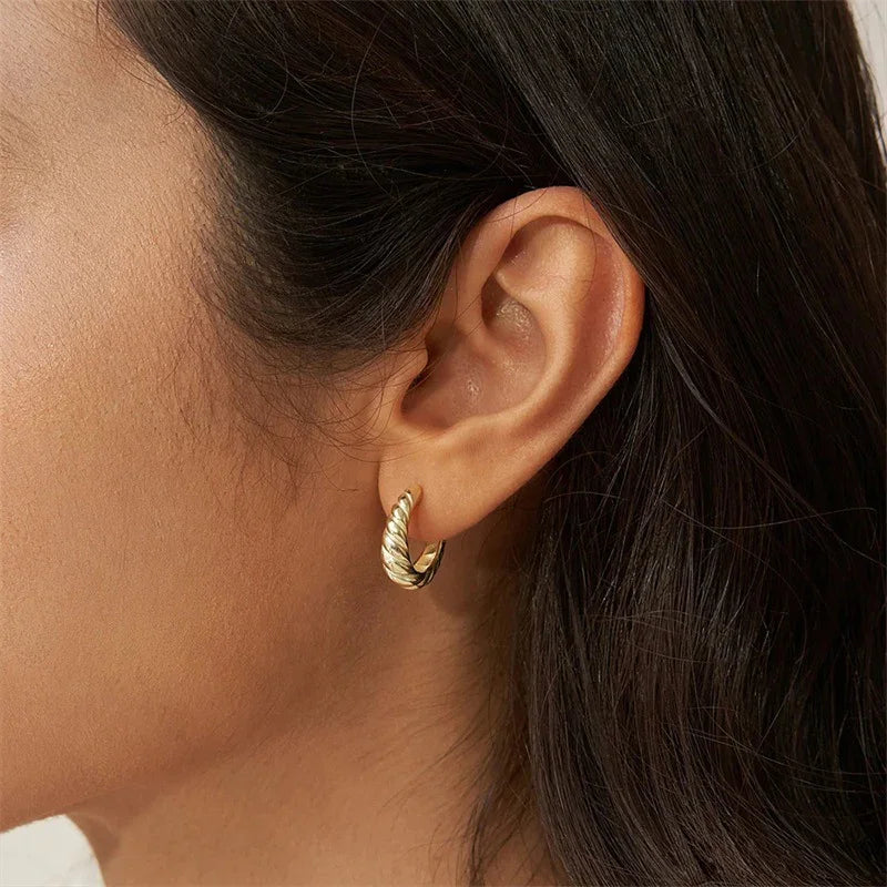[Echo Fine]Croissant Arc Earrings