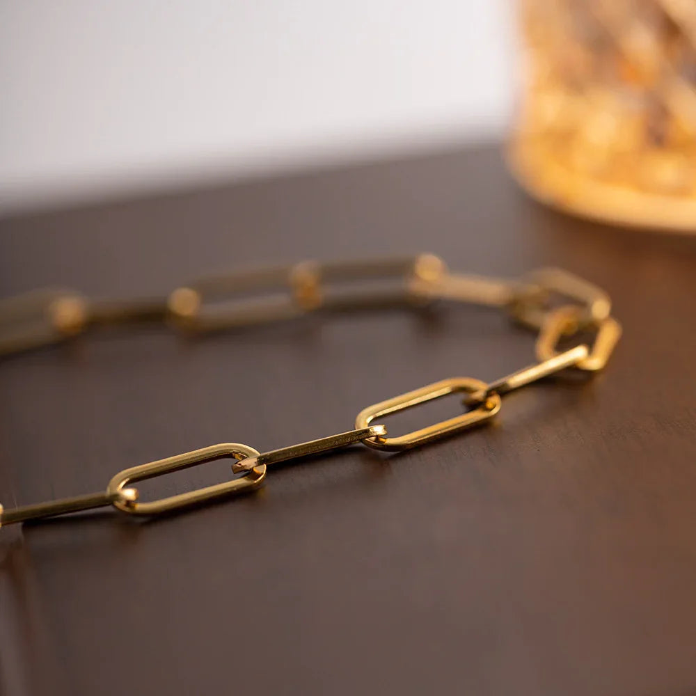 [Echo Fine]Ria Gold Paperclip Chain Necklace
