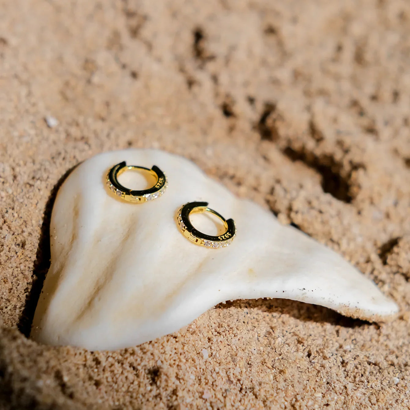 [Echo Fine]Terra Huggie Earrings