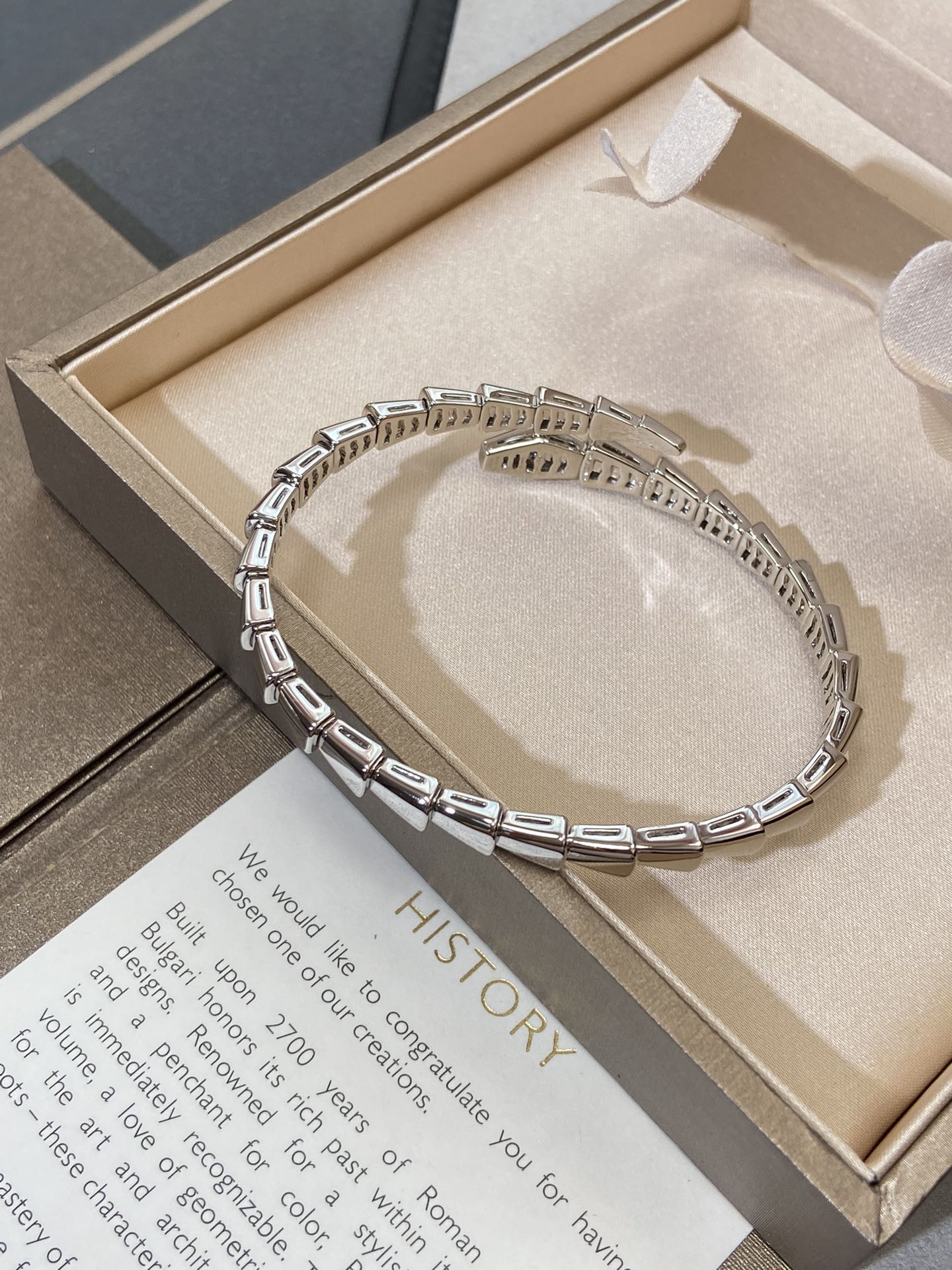 [ECHO ]SERPENTI VIPER SILVER BRACELET