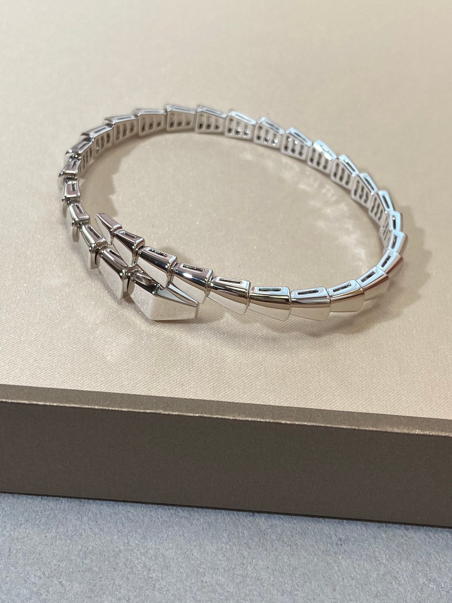 [ECHO ]SERPENTI VIPER SILVER BRACELET